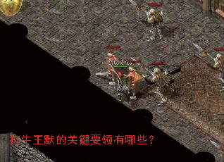 ��ţ��Ĭ�Ĺؼ�Ҫ������Щ��