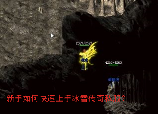 ������ο������ֱ�ѩ����˽����