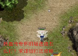 ��Ѫ���滳�ɰ��ż���ô������ϸ�򷨹���