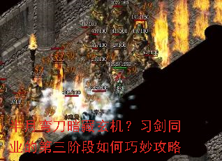 �����䵶����������ϰ��ͬҵ�ĵ����׶���������