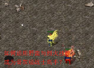 如何运用野蛮与烈火技能成为骨灰级战士高手? 如何运用野蛮与烈火技能成为骨灰级战士高手?
