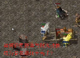 �������Ұ�����һ��ܳ�Ϊ�ǻҼ�սʿ���֣�