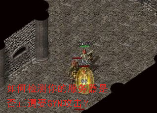 ��μ����ķ������Ƿ�������SYN������