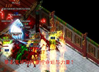 ����ħ������ƿ�������������