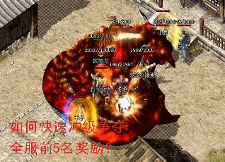 ��ο��ٳ弶����ȫ��ǰ5��������