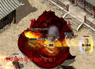 �������������β鿴��