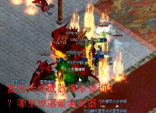 ���Ŵ����������ʲ�ѯ�����������ȫ������