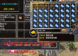 ��γɹ���ɱ������Ϸ�еĳ���BOSS��