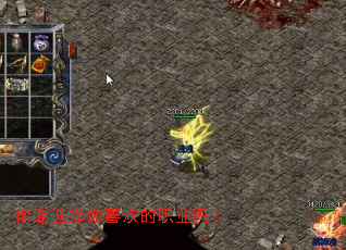 ����ѡ����ϲ����ְҵ��