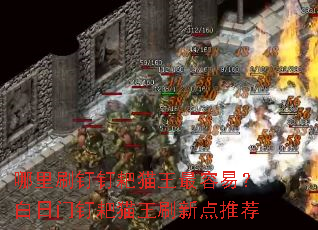 ����ˢ������è�������ף������Ŷ���è��ˢ�µ��Ƽ�