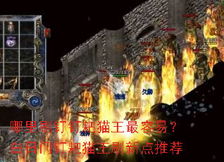 ����ˢ������è�������ף������Ŷ���è��ˢ�µ��Ƽ�