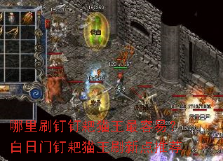 ����ˢ������è�������ף������Ŷ���è��ˢ�µ��Ƽ�