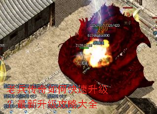 �ϱ�������ο��������������������Դ�ȫ