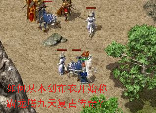 如何从木剑布衣开始称霸龙腾九天复古传奇? 如何从木剑布衣开始称霸龙腾九天复古传奇?
