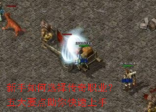 �������ѡ����ְҵ�����Ҫ�������������