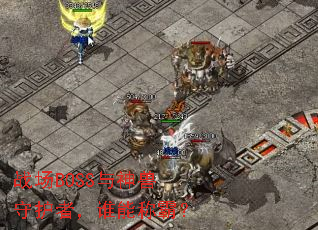 ս��BOSS�������ػ��ߣ�˭�ܳưԣ�