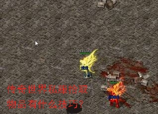 ��������˽��ʰȡ��Ʒ��ʲô���ɣ�