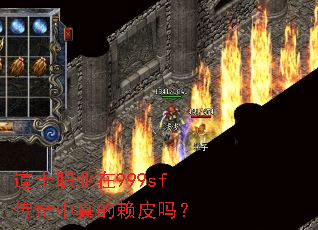 ��ʿְҵ��999sf�����������Ƥ��