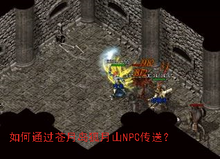 ���ͨ�����µ�����ɽNPC���ͣ�