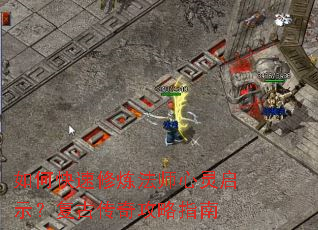 ��ο���������ʦ������ʾ�����Ŵ��湥��ָ��