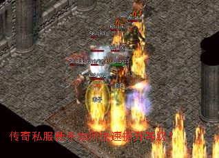 ����˽��������ο��������ȼ���