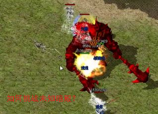 �����սδ֪���