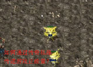 ���ͨ������˽��������Ϸ��������