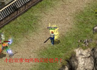 С�������ι����鵤��