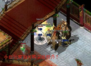 С�������ι����鵤��