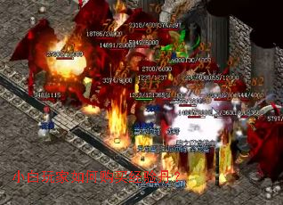 С�������ι����鵤��