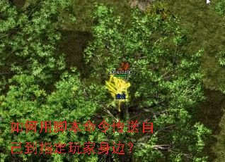 如何用脚本命令传送自己到指定玩家身边? 如何用脚本命令传送自己到指定玩家身边?