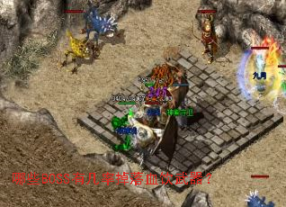 ��ЩBOSS�м��ʵ���Ѫ��������