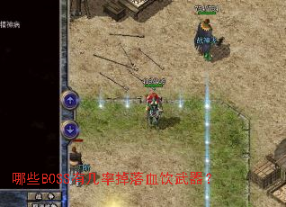 ��ЩBOSS�м��ʵ���Ѫ��������