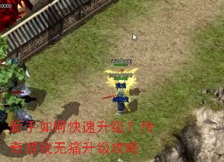 ������ο���������������Ϸ��ʹ��������