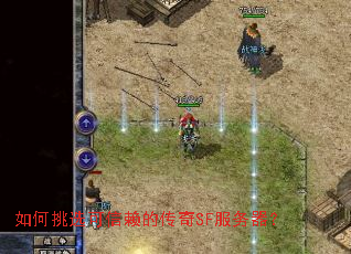 �����ѡ�������Ĵ���SF��������