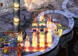 ��ʦ��λ�ţħ����˫�ޣ�