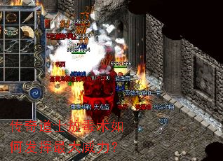 �����ʿ�Ŷ�����η������������