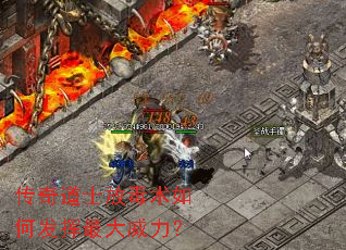 �����ʿ�Ŷ�����η������������