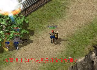 �����ʿ��ο�����������������