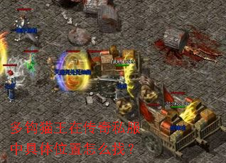 �๳è���ڴ���˽���о���λ����ô�ң�