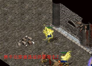 ���������ѡս�����ĸ���