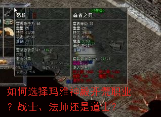 ���ѡ����������ְҵ��սʿ����ʦ���ǵ�ʿ��