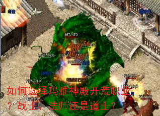 ���ѡ����������ְҵ��սʿ����ʦ���ǵ�ʿ��