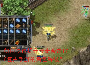 ��ο�����������ϻ�176�������εĽ�ɫ�ȼ���