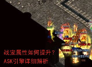 ս���������������ASK������ϸ����