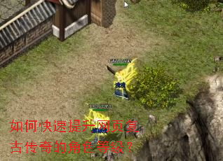 如何快速提升网页复古传奇的角色等级? 如何快速提升网页复古传奇的角色等级?