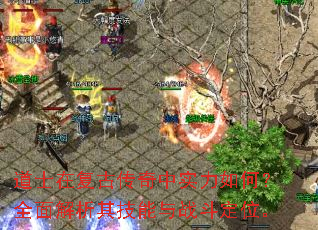 道士在复古传奇中实力如何?全面解析其技能与战斗定位。 道士在复古传奇中实力如何?全面解析其技能与战斗定位。