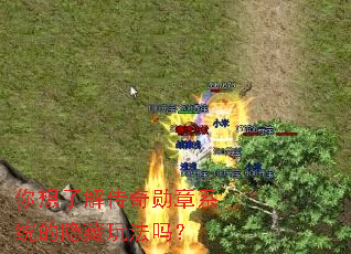 �����˽⴫��ѫ��ϵͳ�������淨��