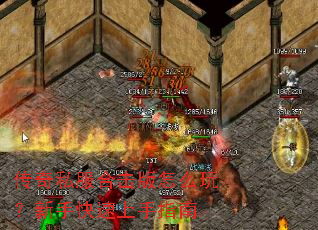 ����˽���ϻ�����ô�棿���ֿ�������ָ��