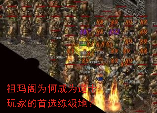 �����Ϊ�γ�Ϊ��ʿ��ҵ���ѡ�����أ�